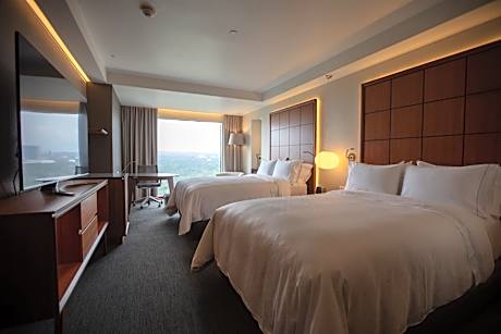 Deluxe Double Room with Park View