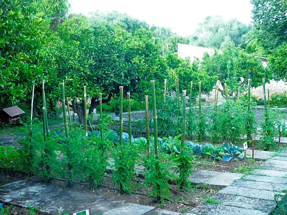 Agroturismo Son Siurana