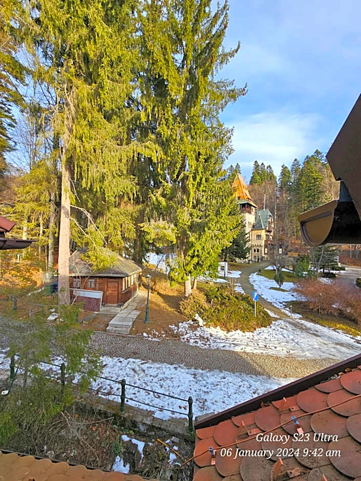 Vila Șipot - Casa Arhitecților