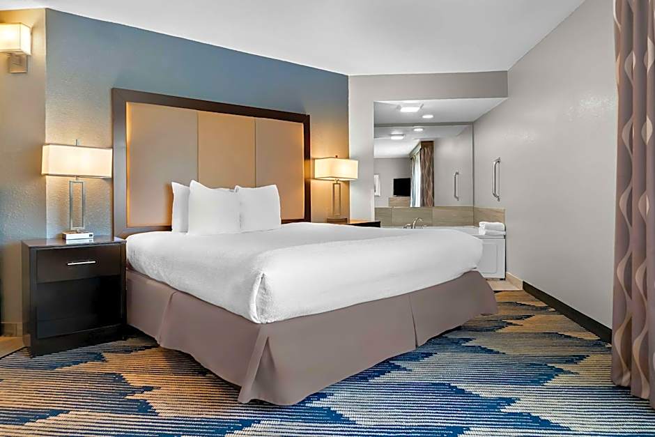 Best Western PLUS Flint Airport Inn & Suites