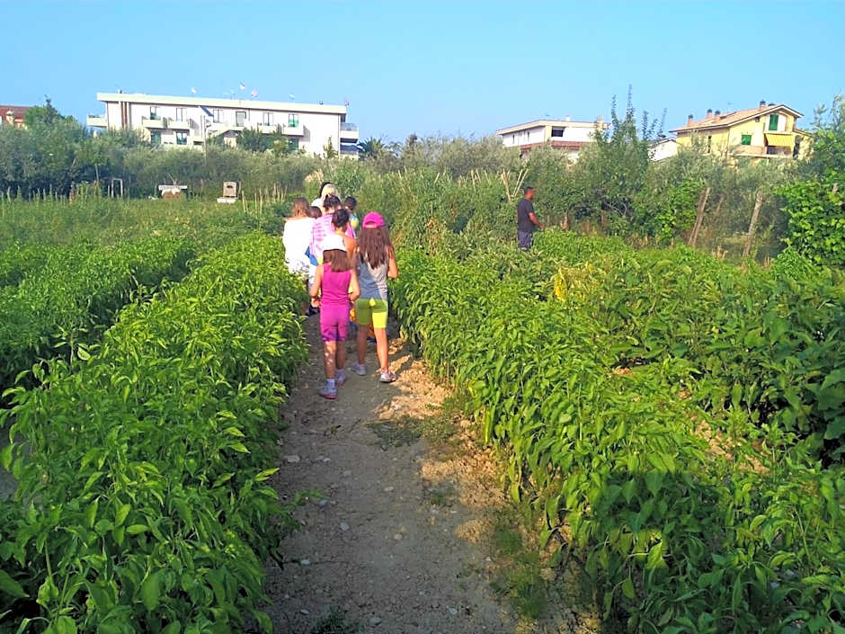 Hotel Parco degli Ulivi