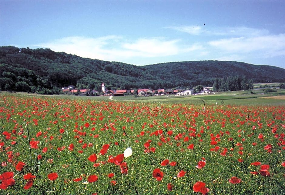 Landgasthof Wagner-Zimmermann
