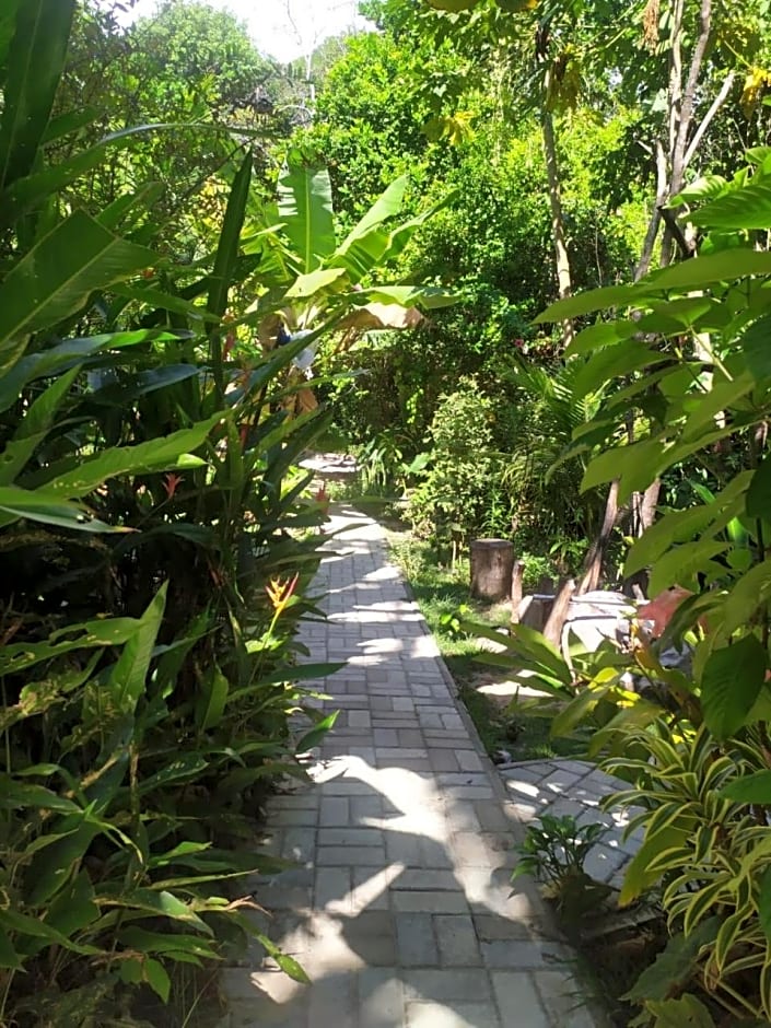 Aruá Observação de Vida Silvestre