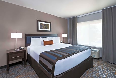 1 King Bed Mobility Accessible Suite Non-Smoking