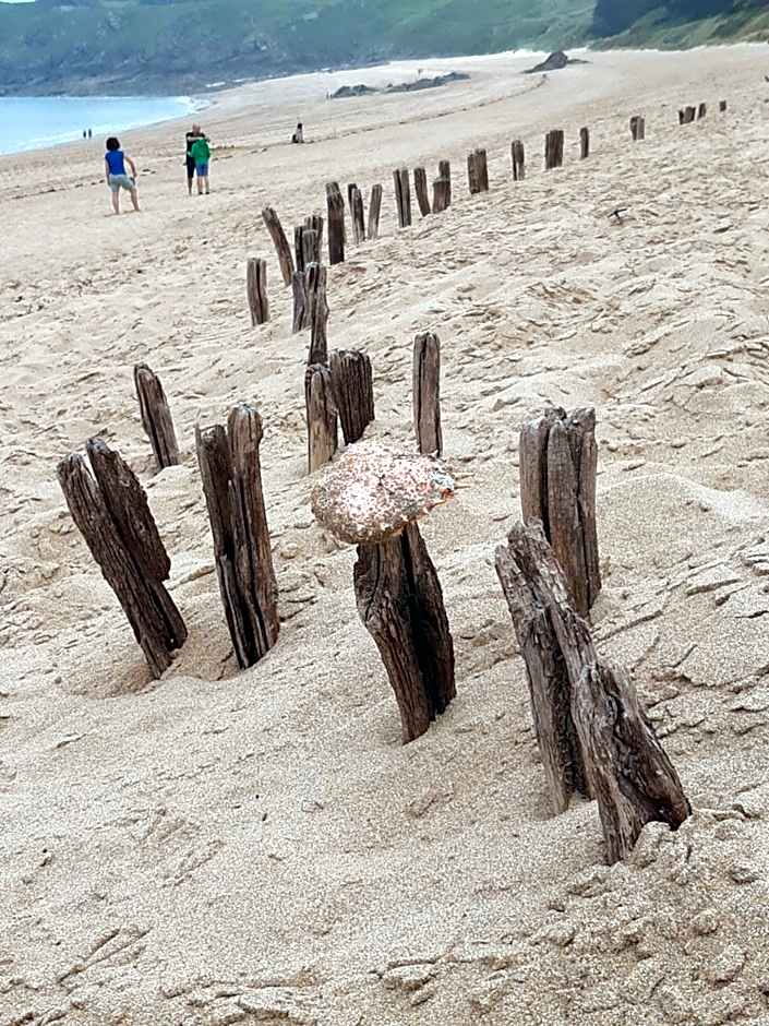 Best Western Hotel Des Voyageurs