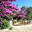 TRULLO MATTEO VILLA DE LUXE avec PISCINE