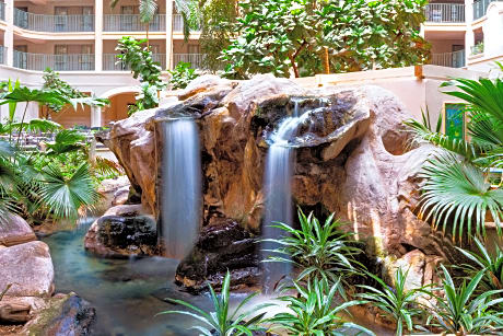 Sheraton Suites Fort Lauderdale at Cypress Creek