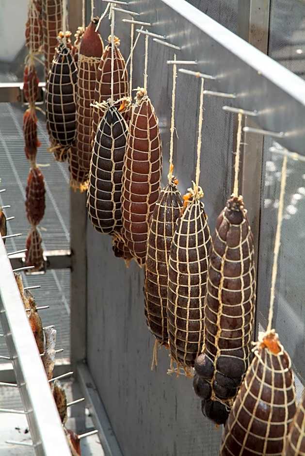 La Foresta Monteisola