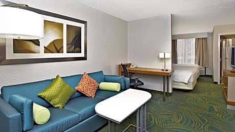 Executive Suite, 2 Double, Sofa bed