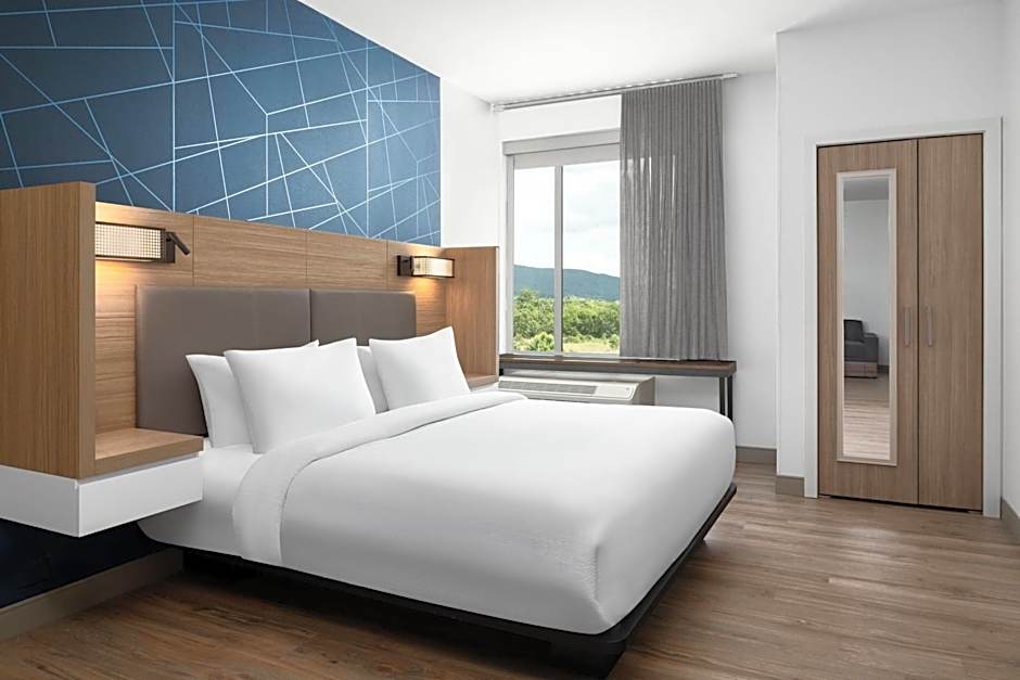 SpringHill Suites by Marriott Roanoke North