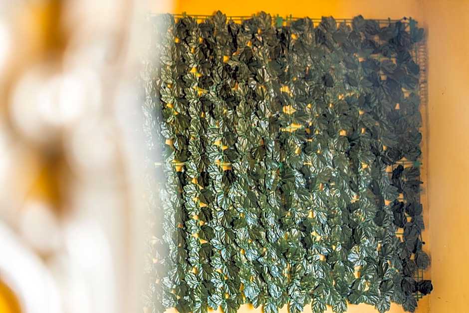 El Gouna Elite Worldwide Sea & Garden Residences - Hurghada, Egypt