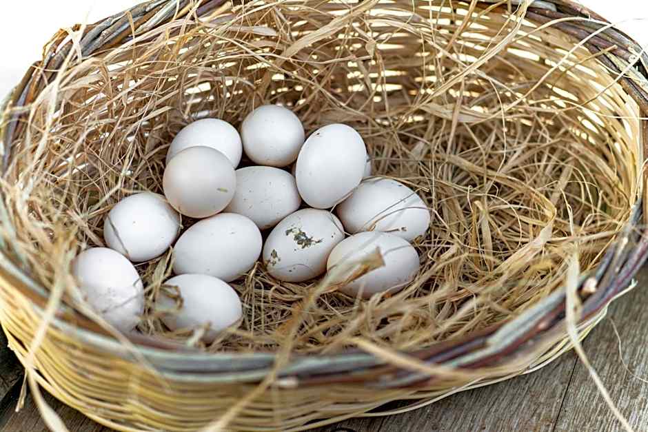 SUNOLUS VINEYARDHOUSe