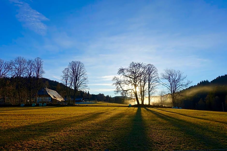 Hollhouse - Bed & Breakfast