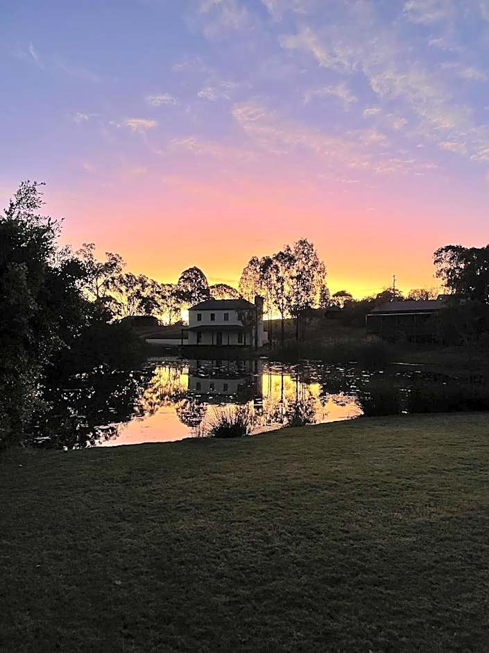 Dusty Hill Vineyard - Moffatdale
