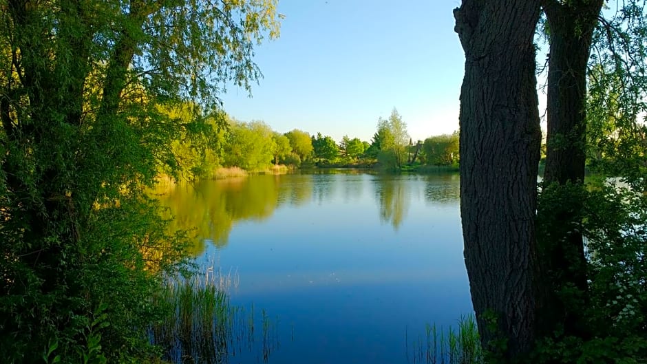 Highfields Holidays bed & breakfast