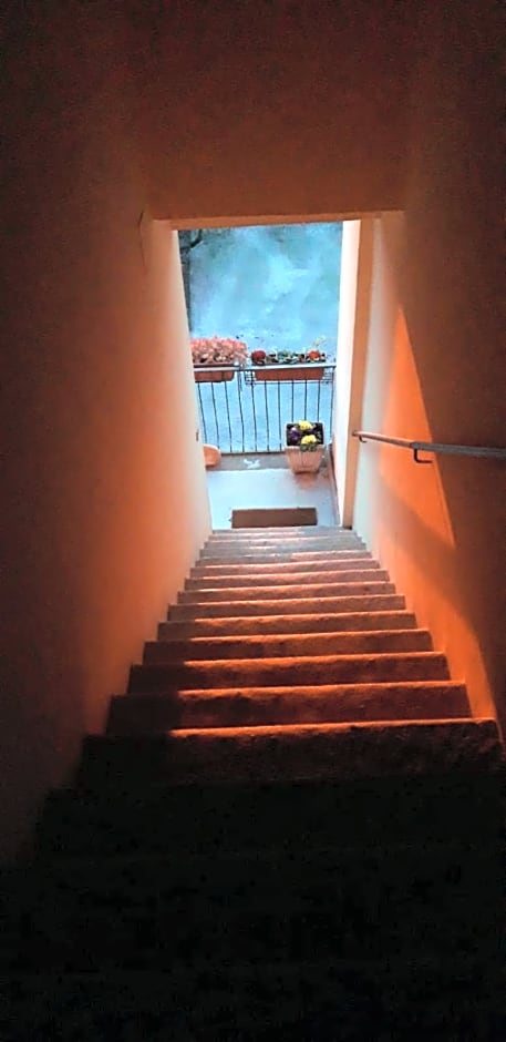 Terme e relax nella campagna viterbese