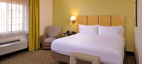 1 King Bed Studio Suite
