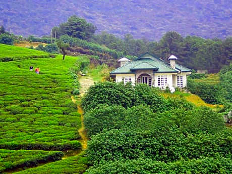 The Royal Terrace Holiday Bungalow