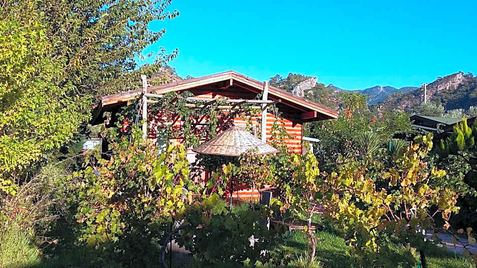 Sakin Vadi Winehouse