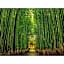 River Side Arashiyama - Vacation STAY 86277v