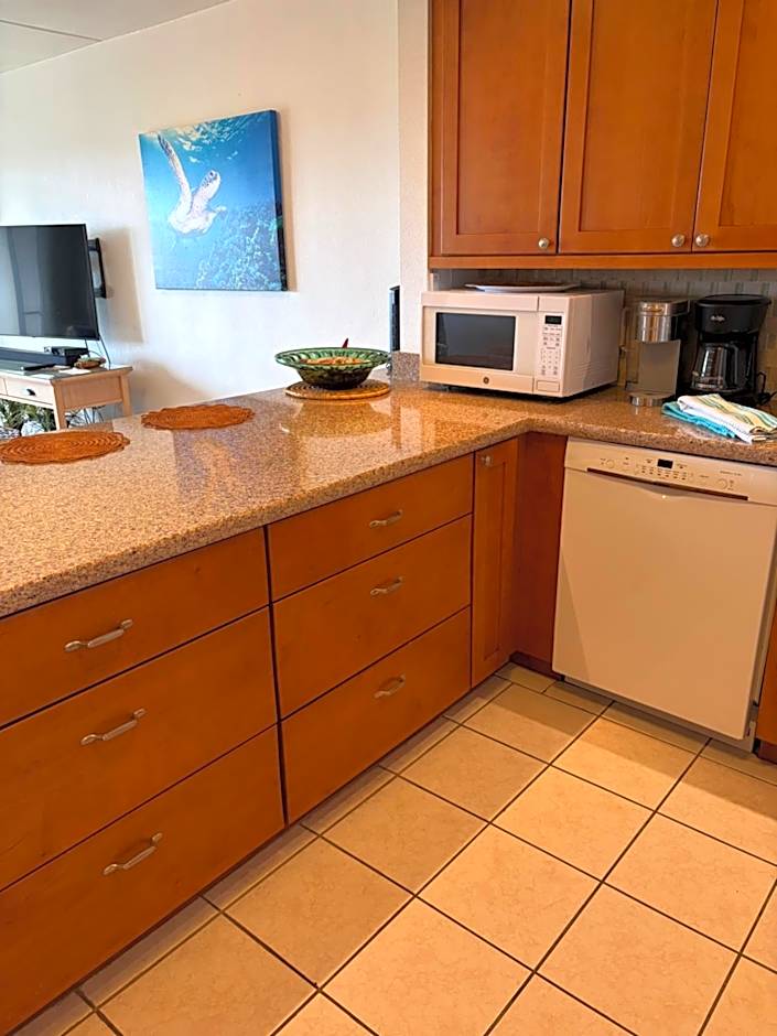 South Maui Ocean View Condo with Free Wifi and Parking