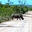 Khululeka Safaris Lodge