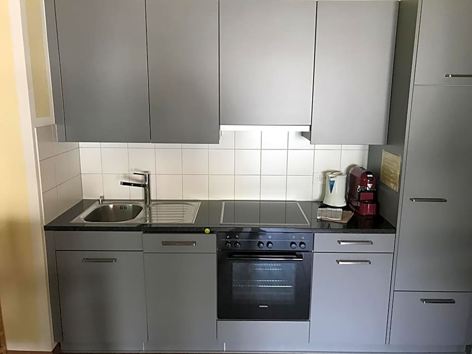 Aladin Apartments St Moritz