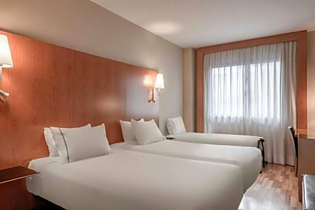 Triple Room, Guest room, 2 Twin/Single Bed(s)