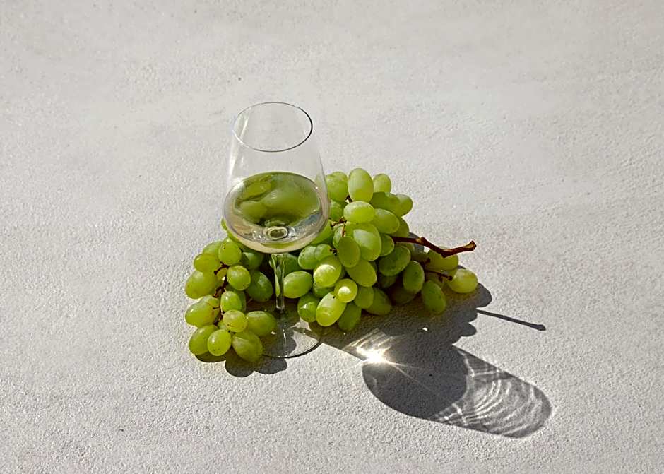 Arxegono Cave Houses Santorini