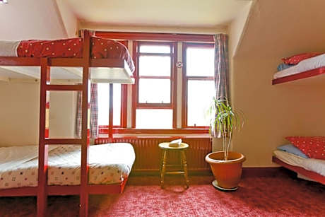 Bed in 8-Bed Mixed Dormitory Room