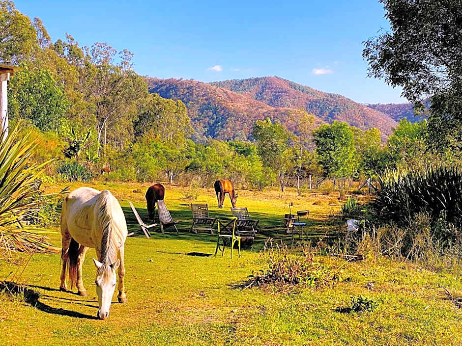 Rancho con Caballos El Reencuentro