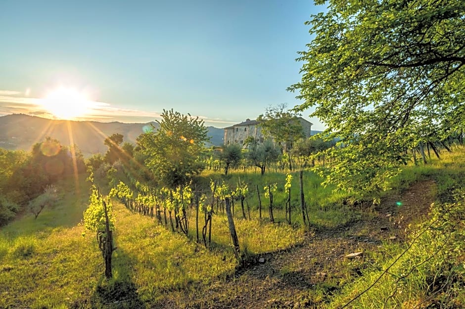 La Rimbecca Greve in Chianti