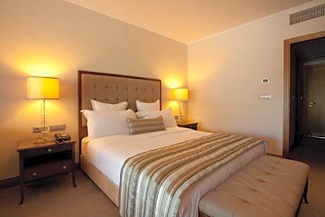 Superior Double Room with Lake View