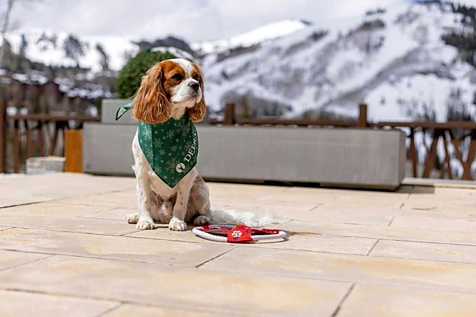 Deer Valley's Signature Collection