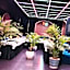 ARIENA The Boutique Hotel