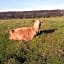 Sharlands Farm Bed and Breakfast