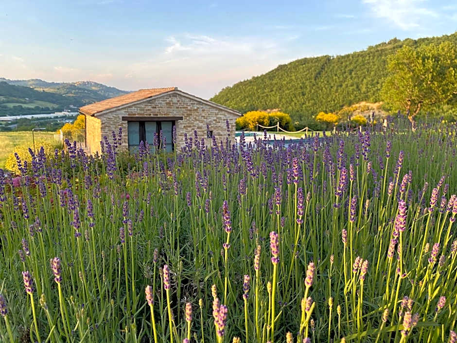 Amico Country House