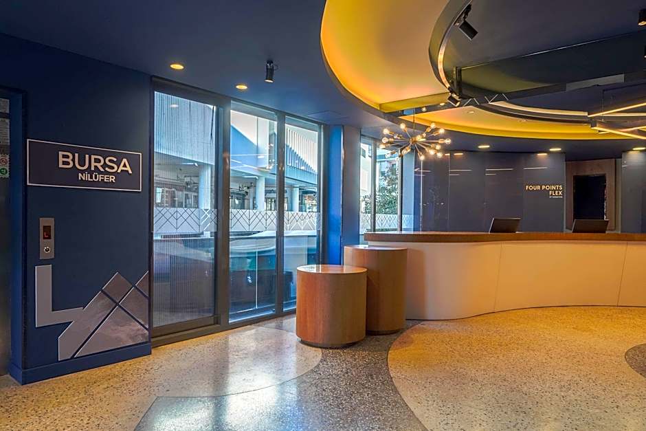 Four Points Flex by Sheraton Bursa Nilufer 