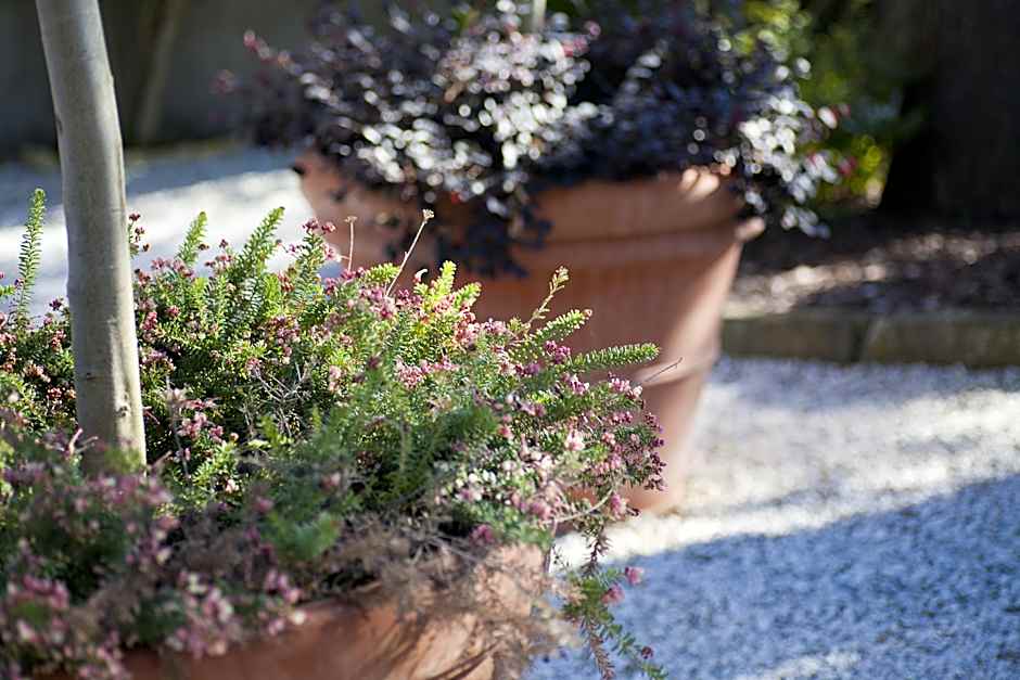 Relais Villa Belvedere