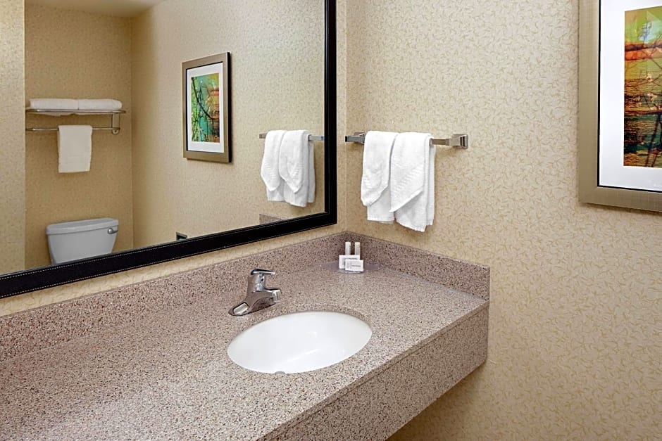 Fairfield Inn & Suites by Marriott Detroit Metro Airport Romulus