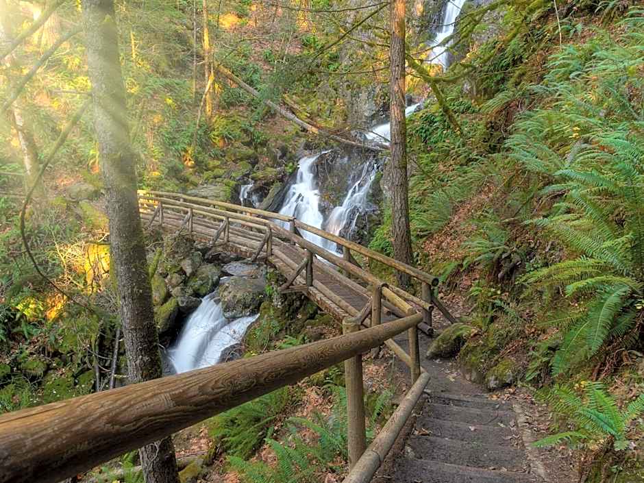 The Fairmont Olympic Hotel Seattle