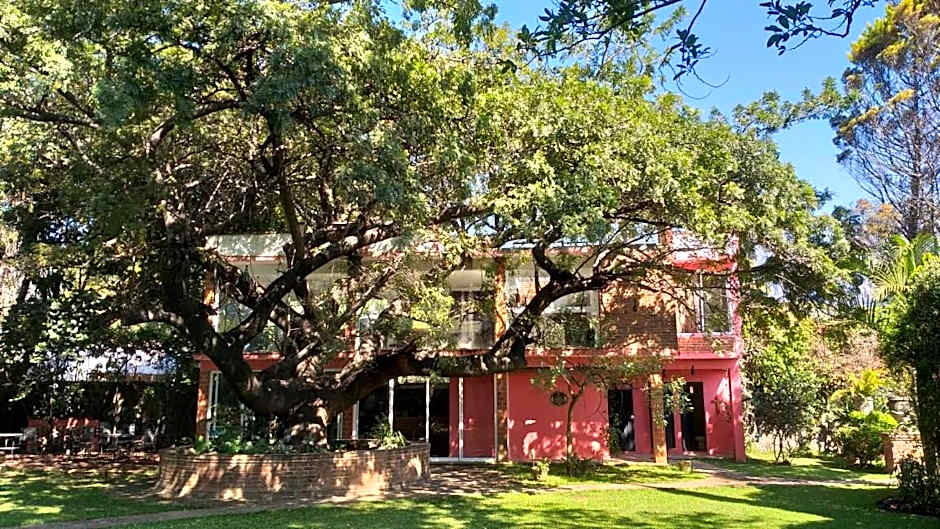 Casa Amor