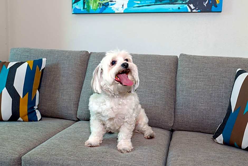 Hampton Inn By Hilton And Suites Sarasota/Lakewood Ranch