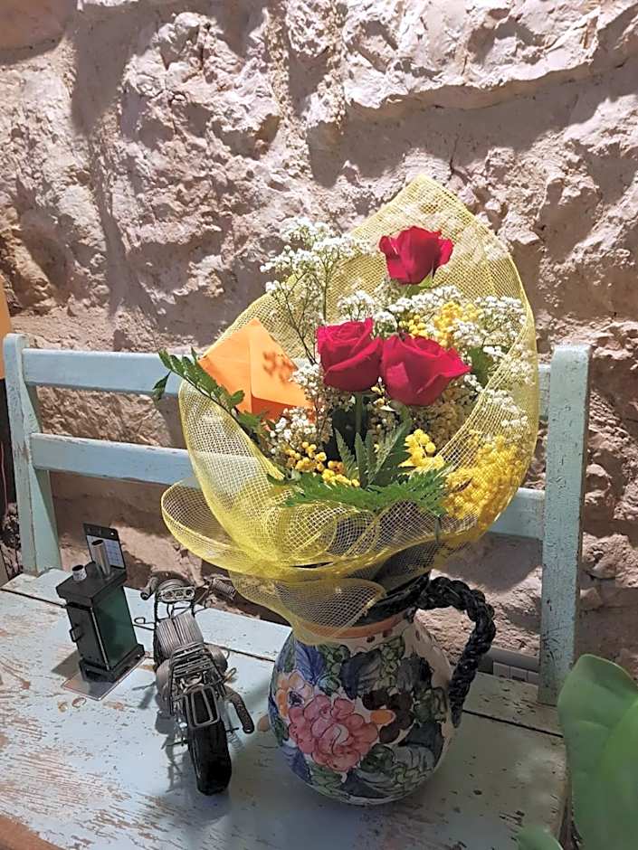 Appartamenti Camere Masi Brenta