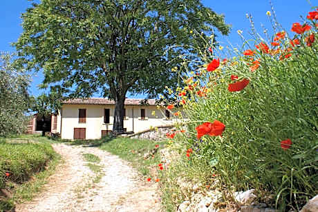 La Perticara Agriturismo