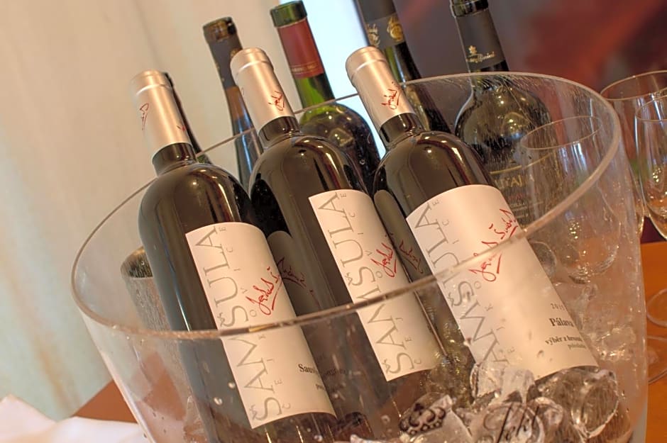 Hotel Srní depandance - Šumava