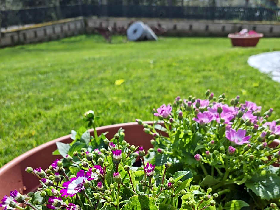 Il Casale nel Parco Guesthouse