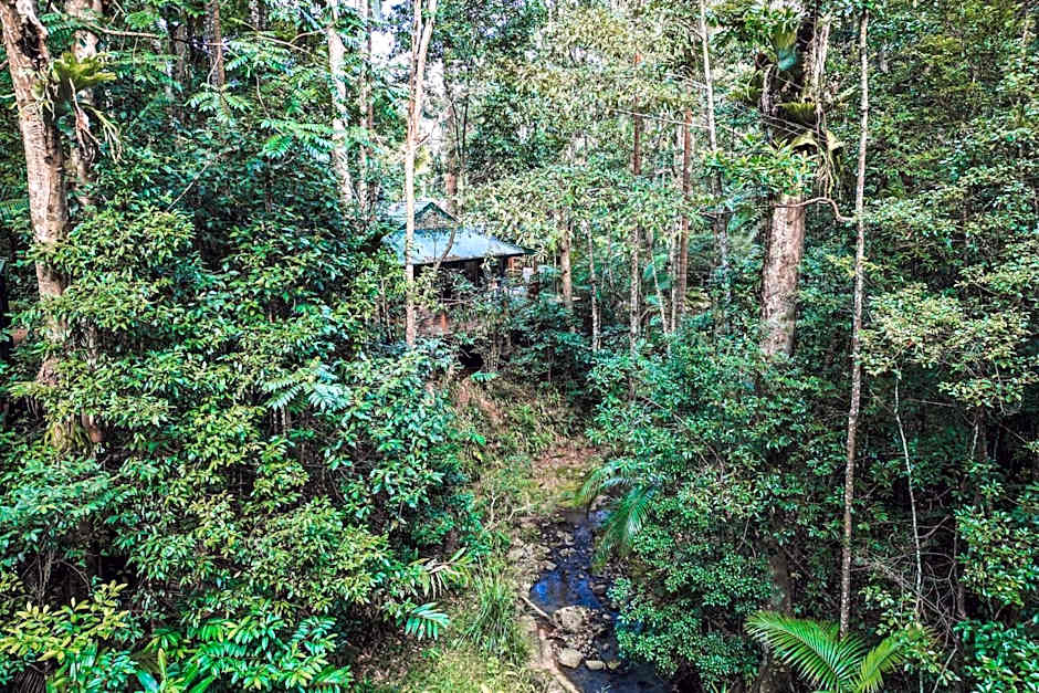 Narrows Escape Rainforest Retreat