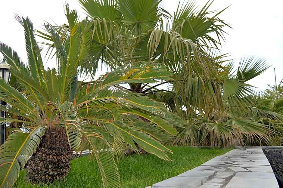 B&B Dimora dell' Etna