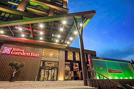 Queen Accessible Room